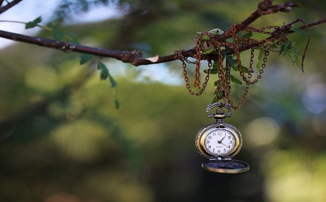 gammelt ur som henger i et tre