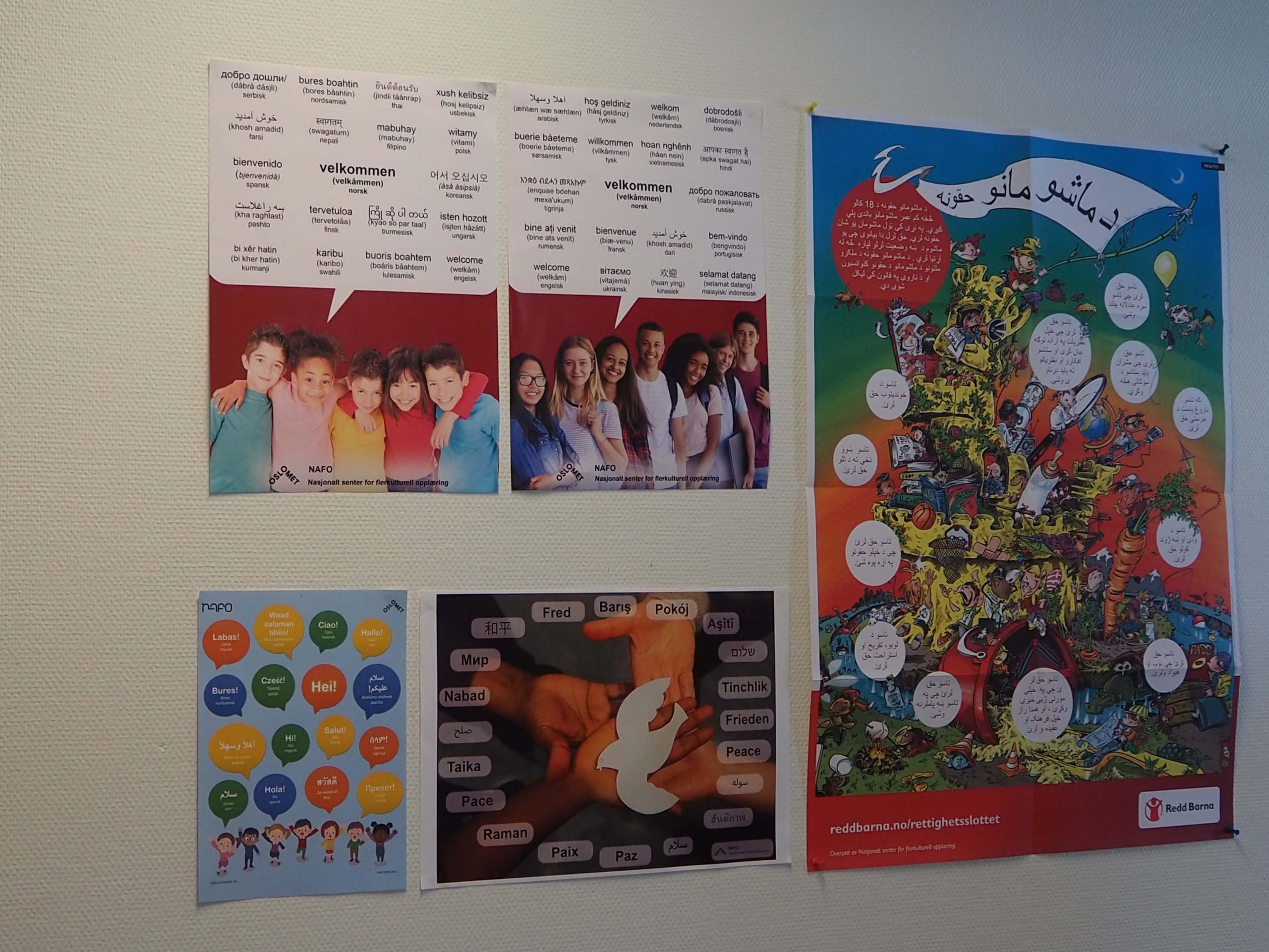 Foto av 5 plakater som henger på en vegg. Plakatene innholder ulike bilder og ulike ord på flere språk, som velkommen, hei og fred.