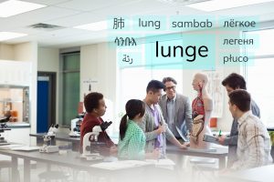 Foto av lærer og elever i et klasserom mens de ser på en modell av et menneske. På bildet over dem er ordet "lunge" skrevet på flere språk.