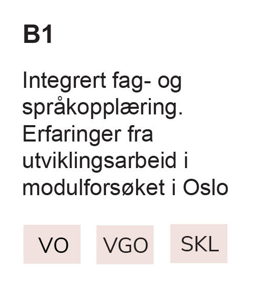 B1 Integrert fag- og språkopplæring. Erfaringer fra utviklingsarbeid i modulforsøket i Oslo, VO, VGO, SKL