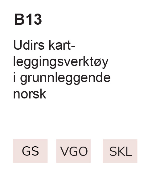 B13 Udirs kart- leggingsverktøy i grunnleggende norsk, GS, VGO, SKL
