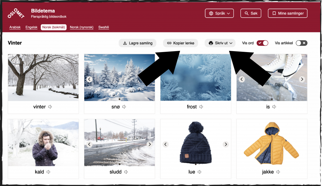 Skjermbilde fra nettsiden Bildetema. I to rekker er det Foto og ord fra tema vinter. Øverst fra venstre er ordet vinter, snø, frost, is. I andre rekke er kald, sludd, lue og jakke. Alle med illustrasjonsfoto. Skjermbildet skal vise nye funksjoner i Bildetema. Når du er i funksjonen samling kan du velge kopier lenke eller skriv ut. To svarte piler peker mot  funksjonsknappene.