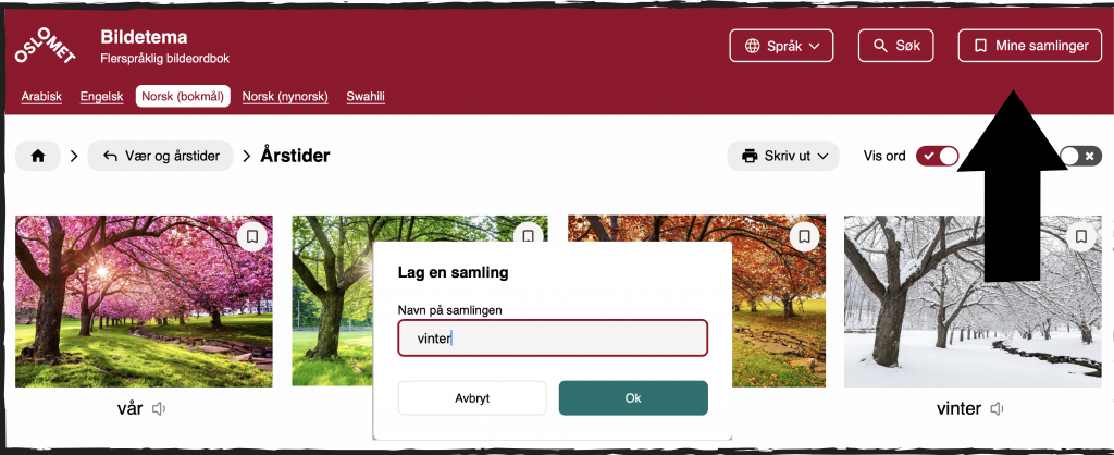 Skjermbilde fra nettsiden Bildetema. I header øverst på nettstedet står logoen OsloMet - Bildetema - Flerspråklig bildeordbok. Under logoen står språkene Arabisk, engelsk, Norsk(bokmål), Norsk (nynorsk) og Swahili. Øverst til høyre på siden står tre knapper: Språk, søk og Mine samlinger. Under header står bilder av fire årstider på en rekke. Fra venstre vår, sommer, høst og vinter. Over bildet av sommer og høst er en ramme med en ny funksjon i Bildetema. Det står: Lag en samling. Under står det Navn på samlingen. Under denne teksten er det et skrivefelt hvor du kan skrive navnet på samlingen din. Under tekstfeltet er knapper for avbryt og ok.