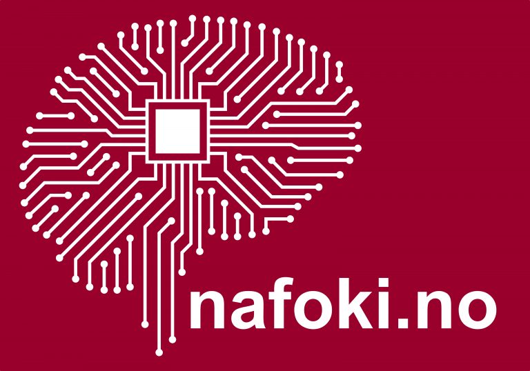Illustrasjon av en hjerne med nevrale nettverk der det er skrevet nafoki.no