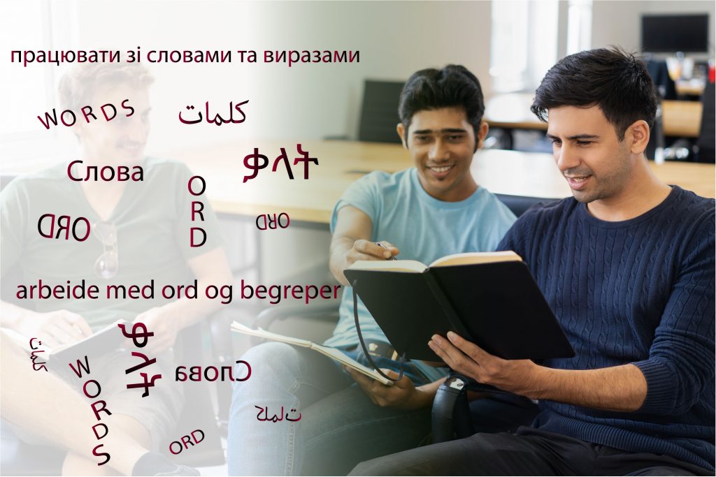 Foto av to elever som sitter i et klasserom og ser i ei skrivebok. På bildet står det skrevet "ord" på mange språk. Det står også "arbeide med ord og begreper"