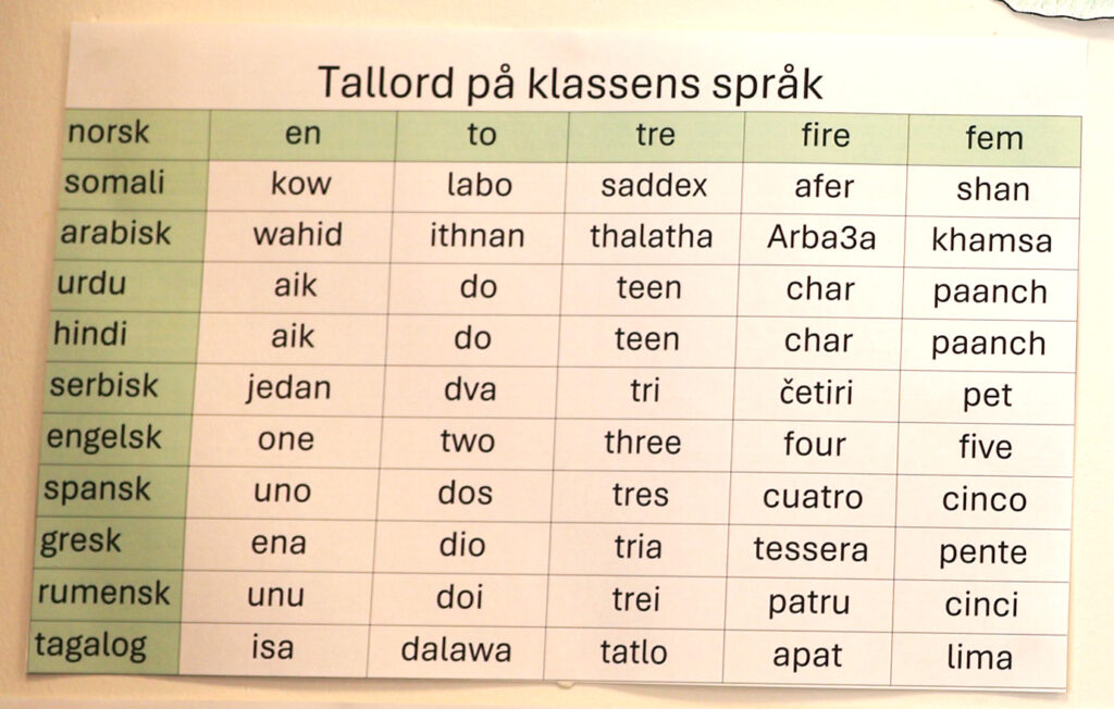 På et ark som henger på veggen har klassen laget en tabell for sammenligning av tallord i ulike språk. Overskriften på plakaten er: Tallord på klassens språk. Langs en vannrett linje øverst er tallordene en, to, tre, fire, fem skrevet opp. På en loddrettlinje er ulike språk listet opp: norsk, somali, arabisk, urdu, hindi, serbisk, engelsk, spansk, gresk, rumensk, tagalog. I tabellene kan en lese hva ulike tallord er på ulike språk.